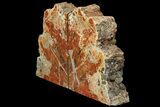 Tall, Arizona Petrified Wood Bookends - Arizona #180243-1